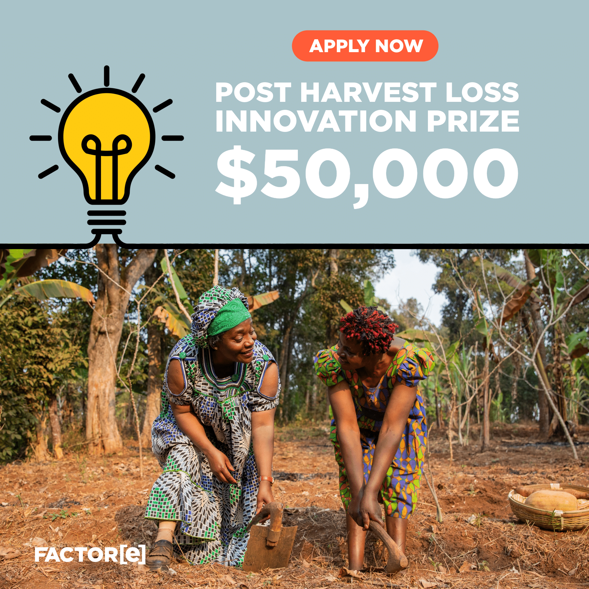 Innovation Challenge Alert: $50,000 Post-Harvest Loss Prize - Apply Now